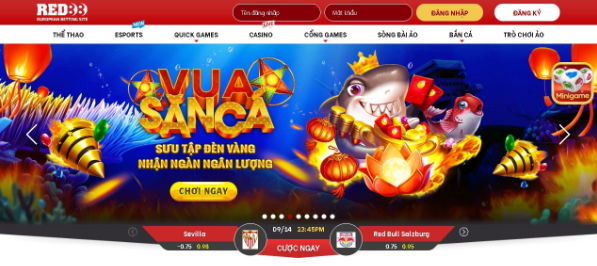 Dịch vụ cho bet thủ tận tâm và chuyên nghiệp