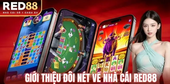 Giới thiệu đôi nét về Chính sách bảo mật Red88